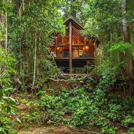 The Canopy Rainforest Treehouses & Wildlife Sanctuary Tarzali Bagian luar foto